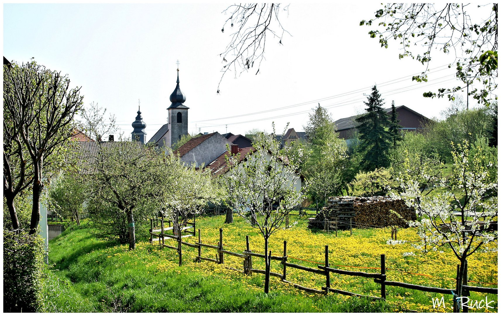 Der Frühling ist voll zu Gange  !