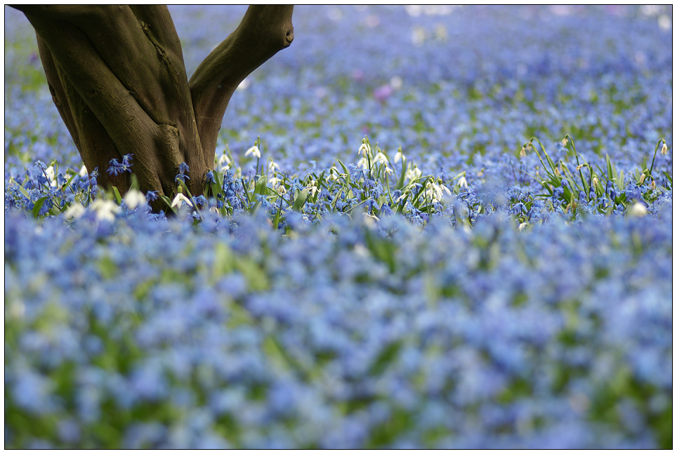 der Frühling ist wieder abgehauen...