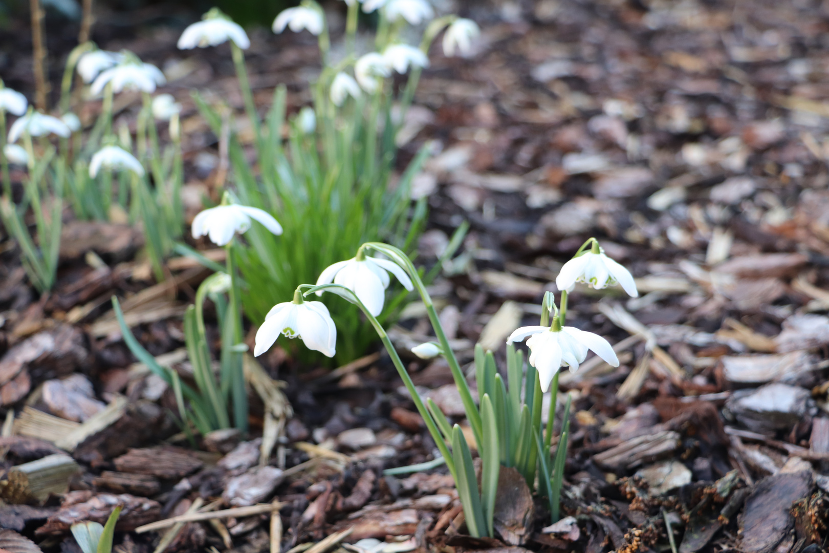 Der Frühling ist wieder da!