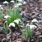 Der Frühling ist wieder da!