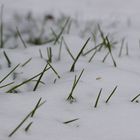 Der Frühling ist zu sehen