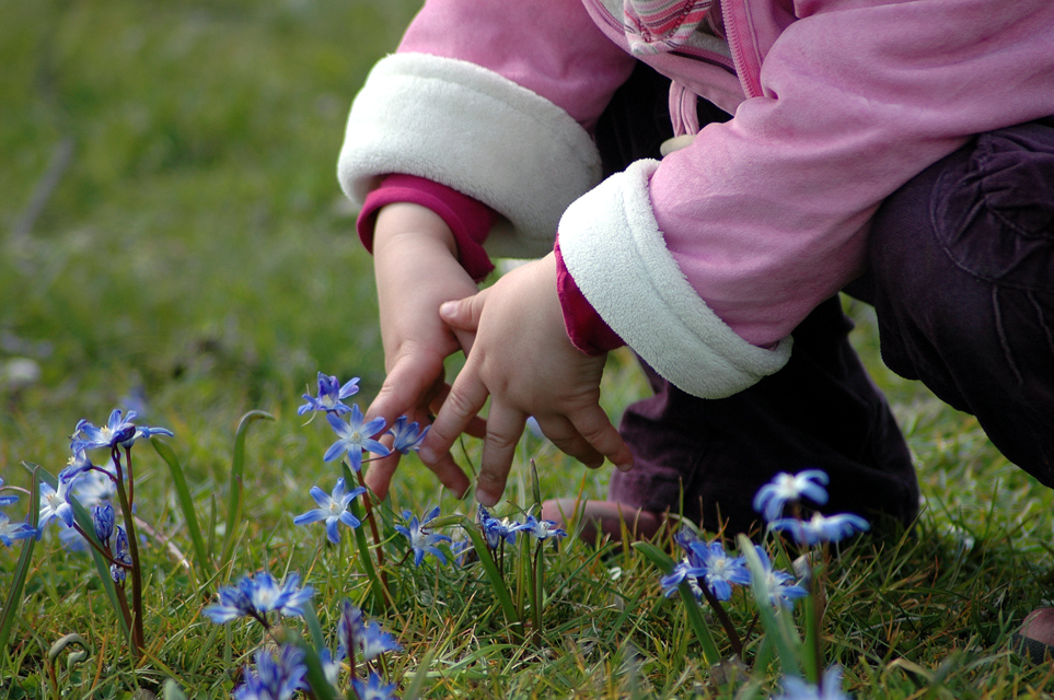 Der Frühling ist  zum Greifen nah