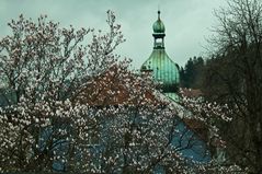 der Frühling ist zurück