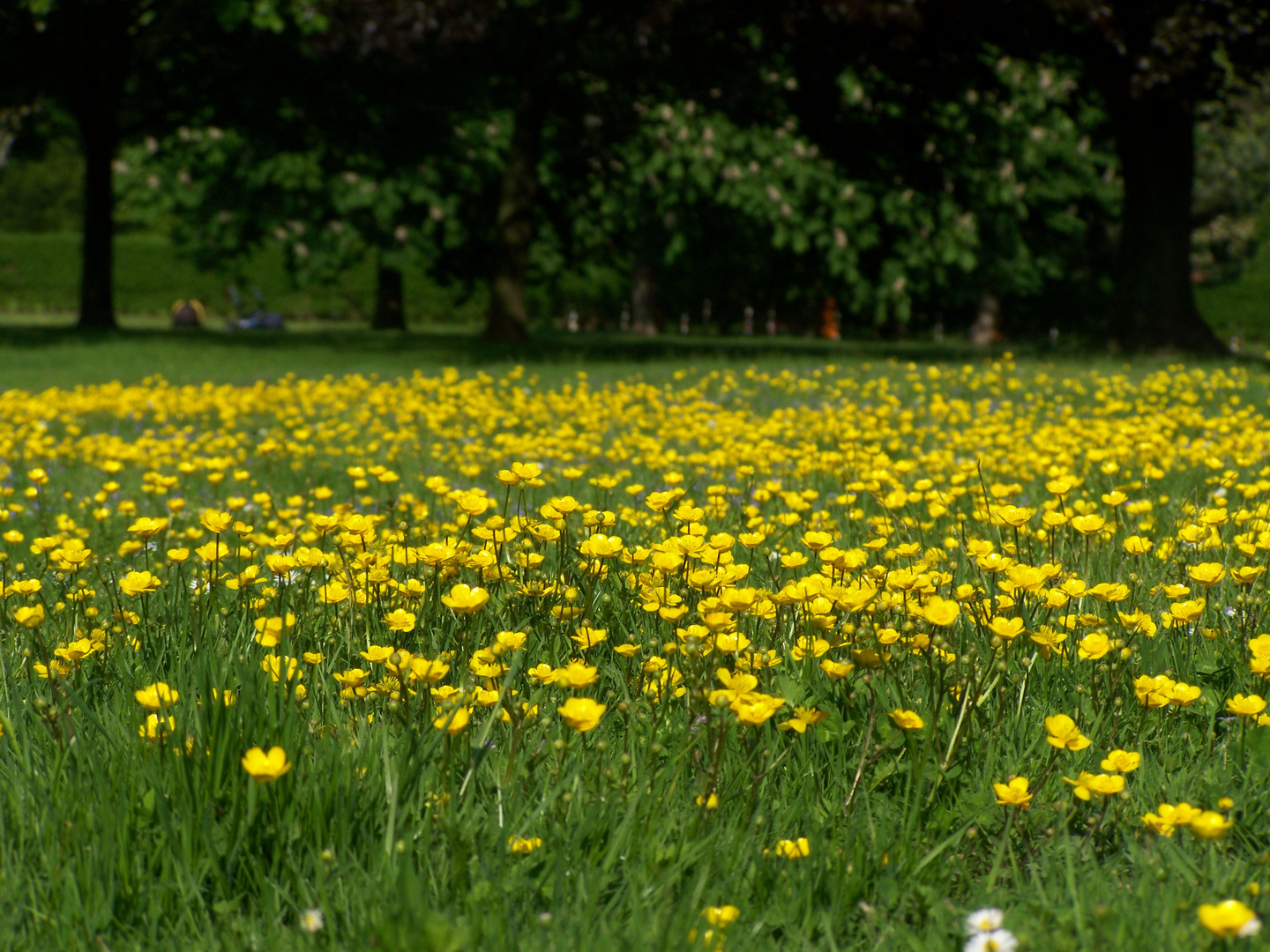 Der Frühling ist zurück