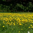 Der Frühling ist zurück