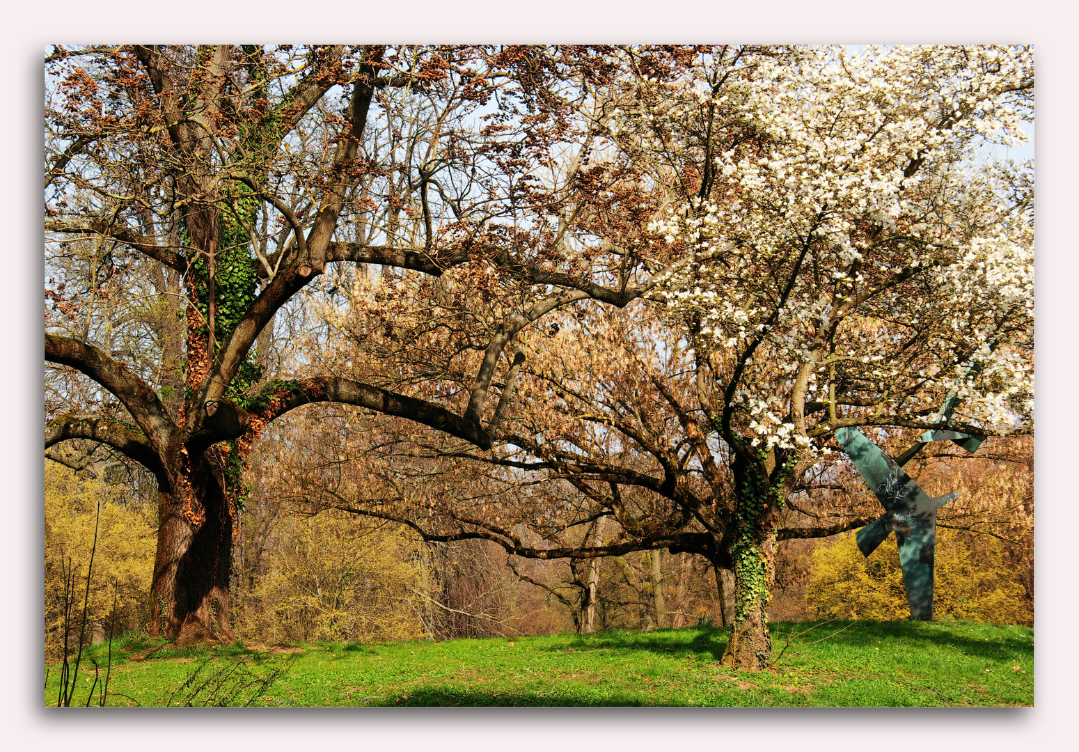 der Frühling kämpft sich durch