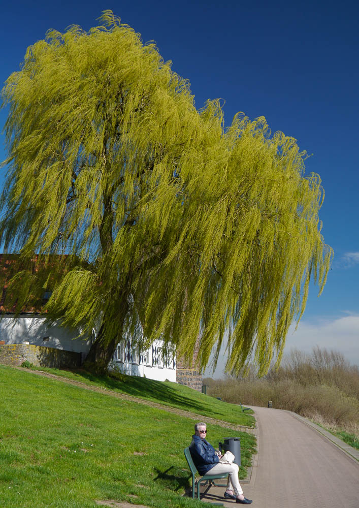 Der Frühling kam pünktlich