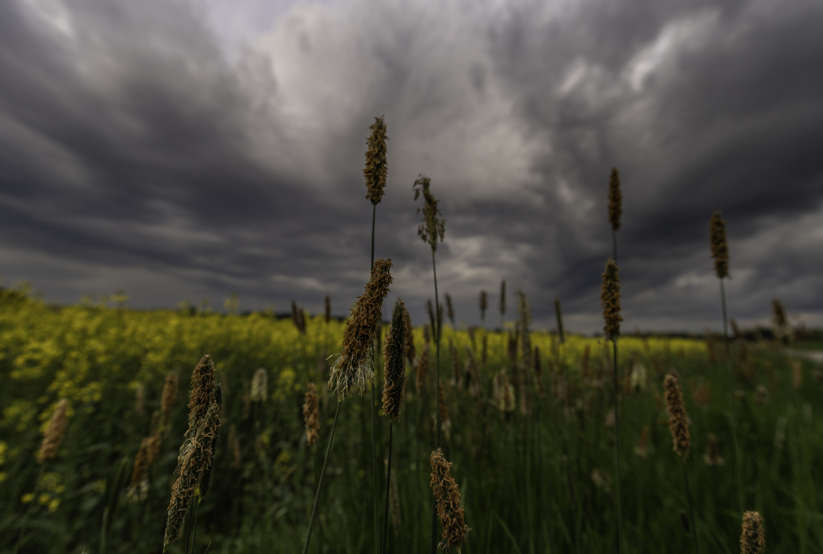 der Frühling kann auch Dramatik