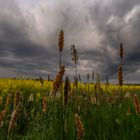 der Frühling kann auch Dramatik