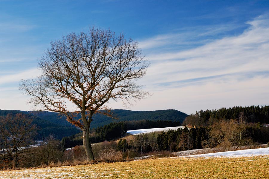 der frühling kann kommen