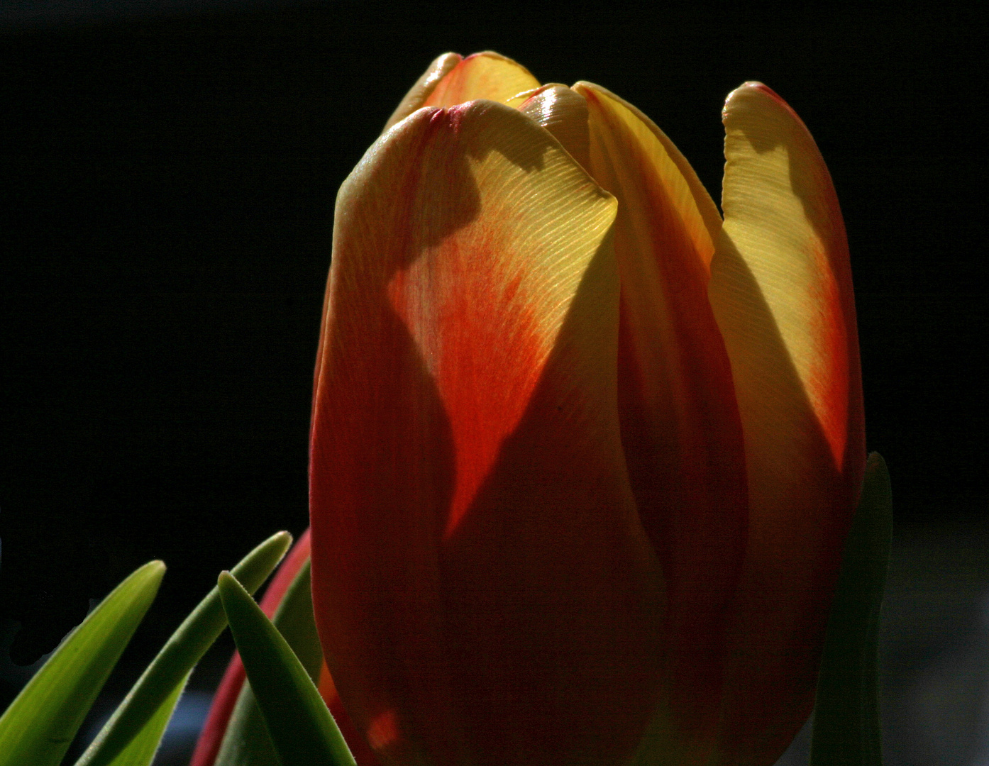 Der Frühling kann kommen