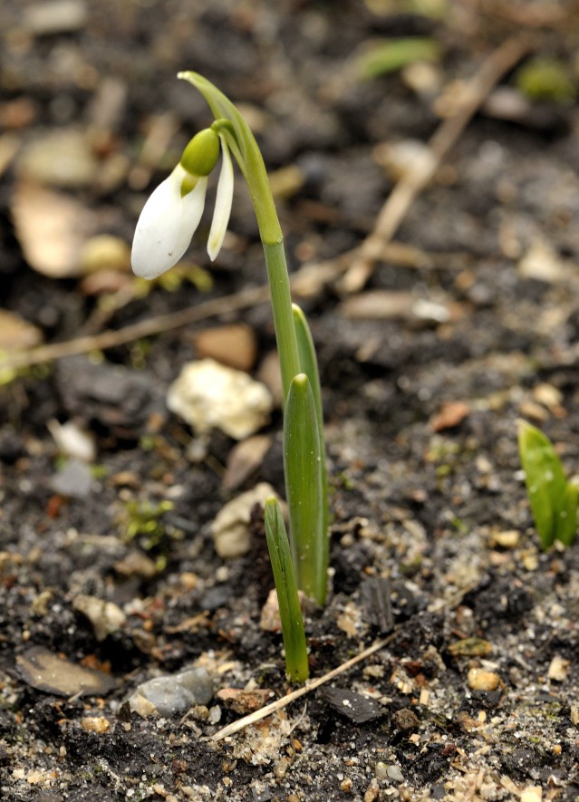 Der Frühling kann kommen