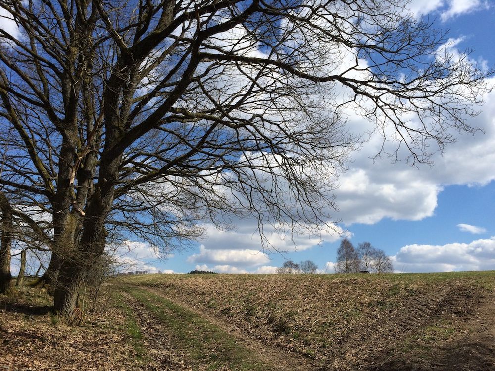 Der Frühling kann kommen