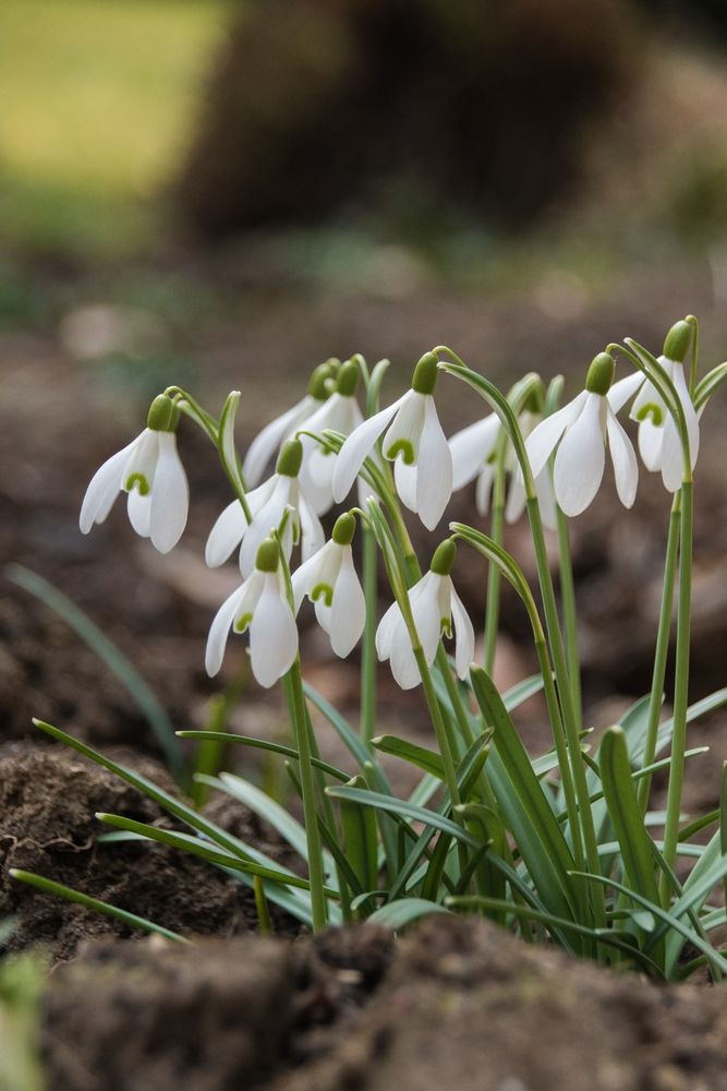 Der Frühling kann kommen