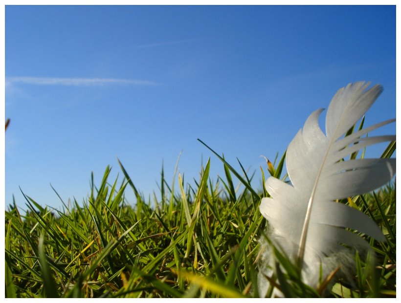 Der Frühling kann kommen...