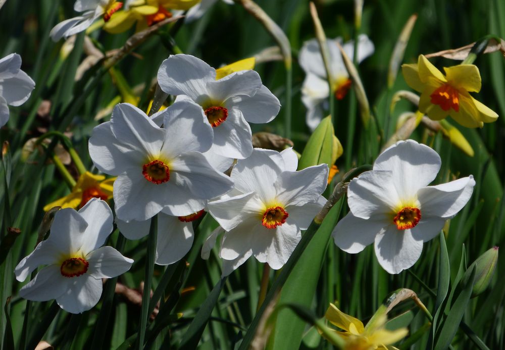 Der Frühling kann kommen!