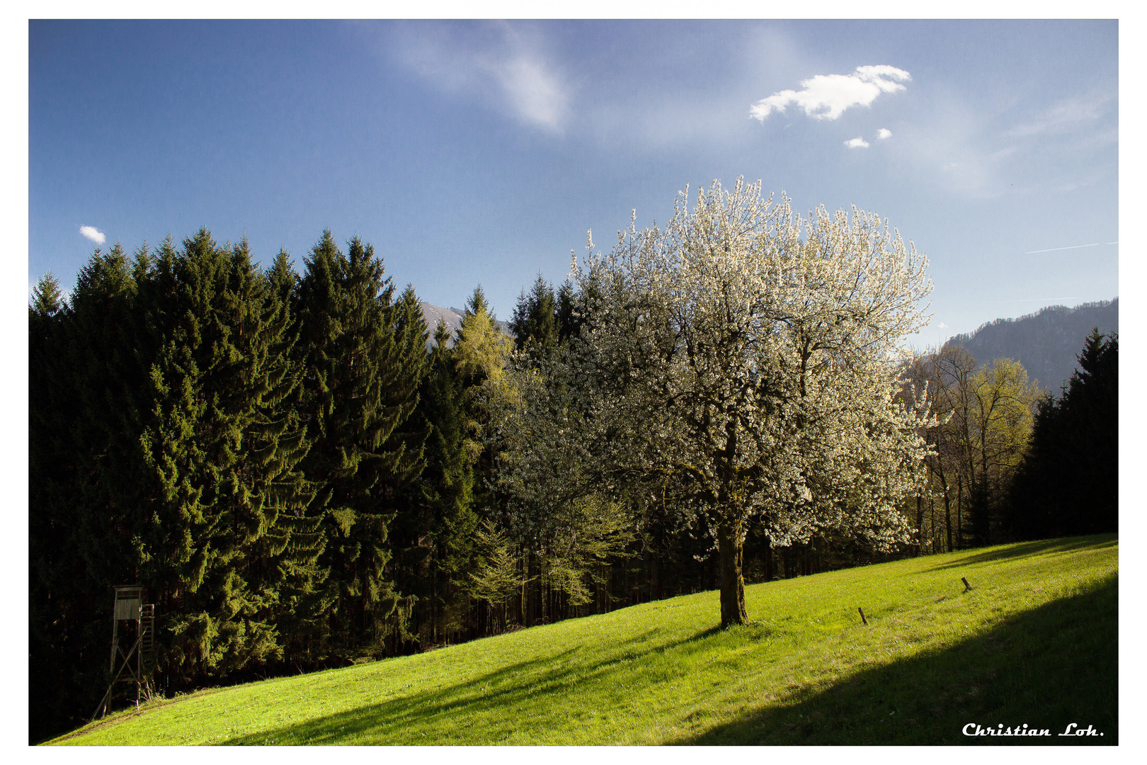 der Frühling kann kommen