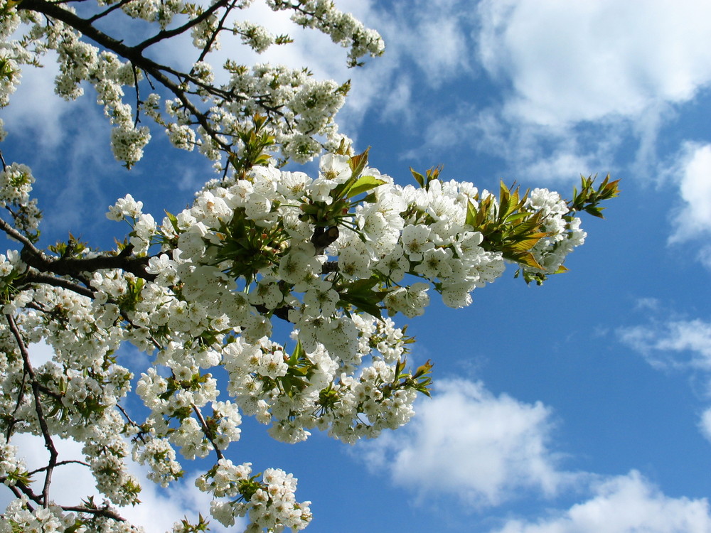 Der Frühling kann kommen ;-)