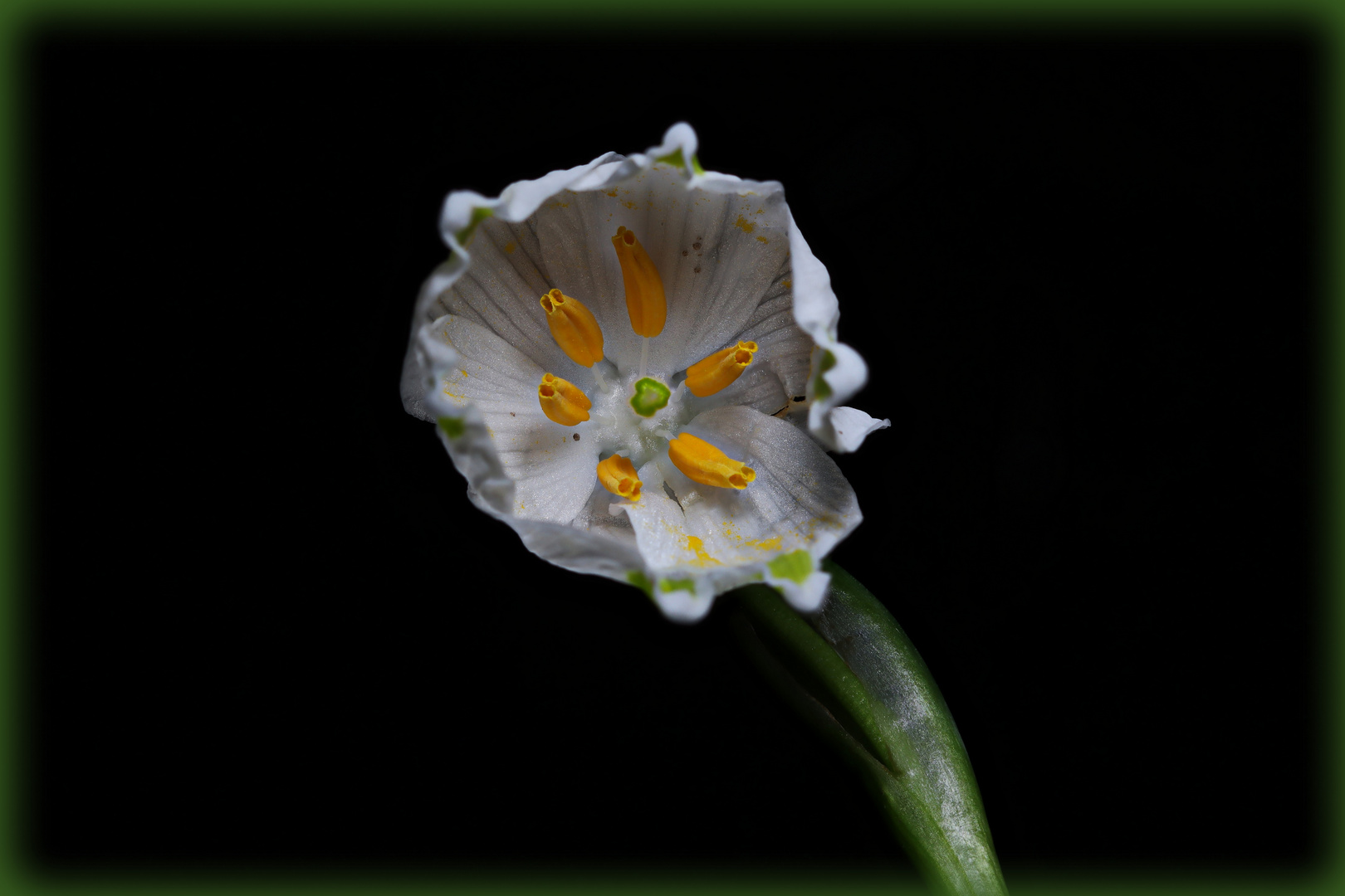 Der Frühling kann kommen...