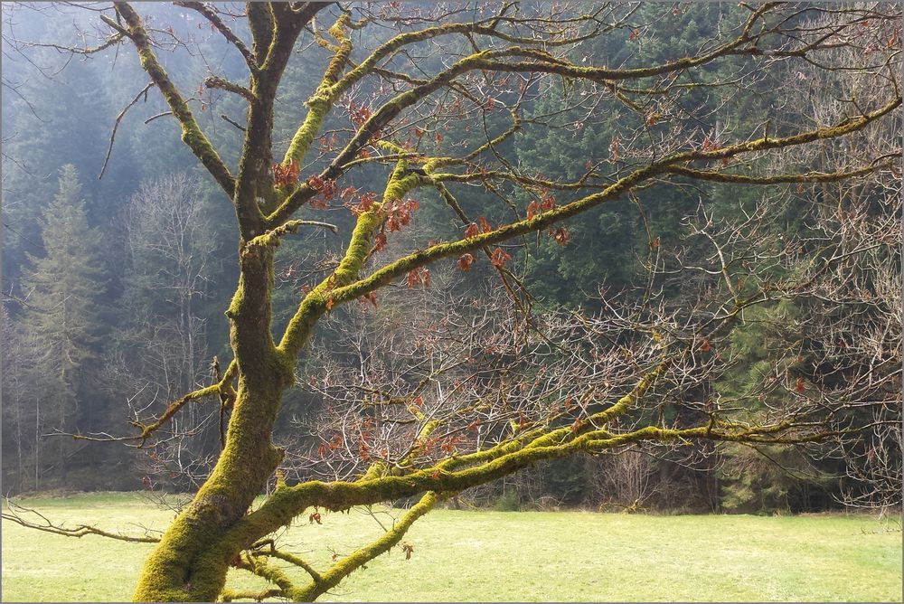 Der Frühling kann kommen