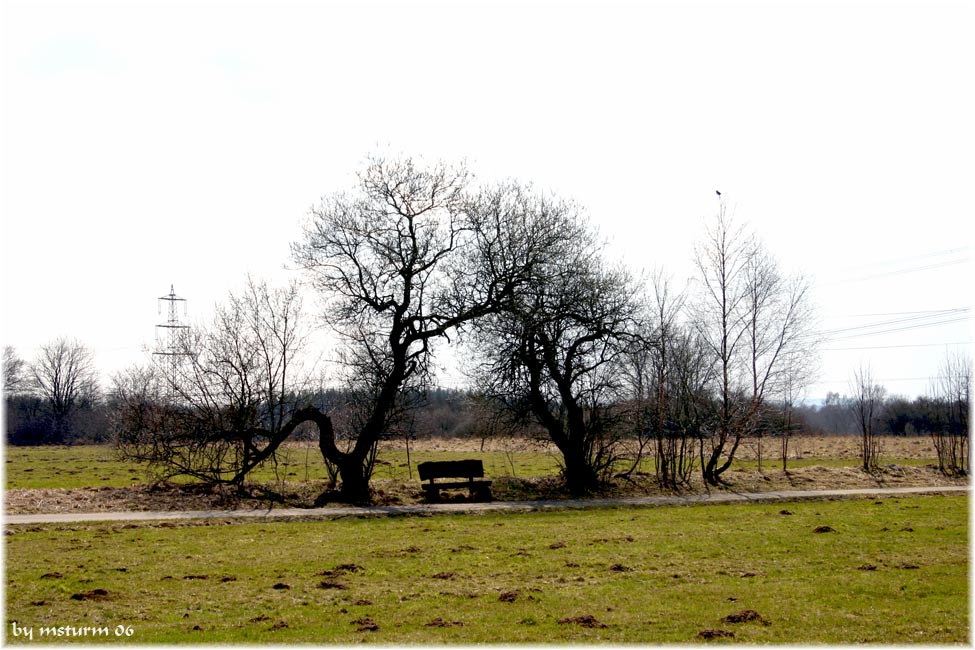 der Frühling kehrt ein