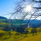 Der Frühling kehrt zurück