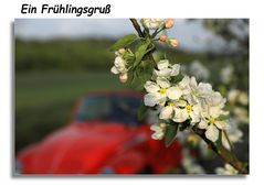 Der Frühling kehrt zurück