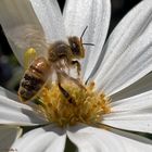 Der Frühling kehrt zurück