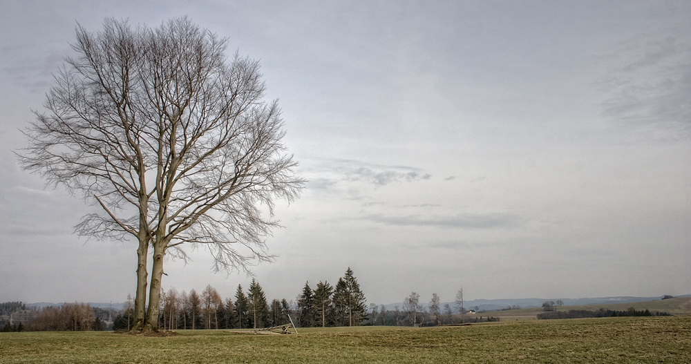 Der Frühling klopft an