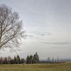 Der Frühling klopft an