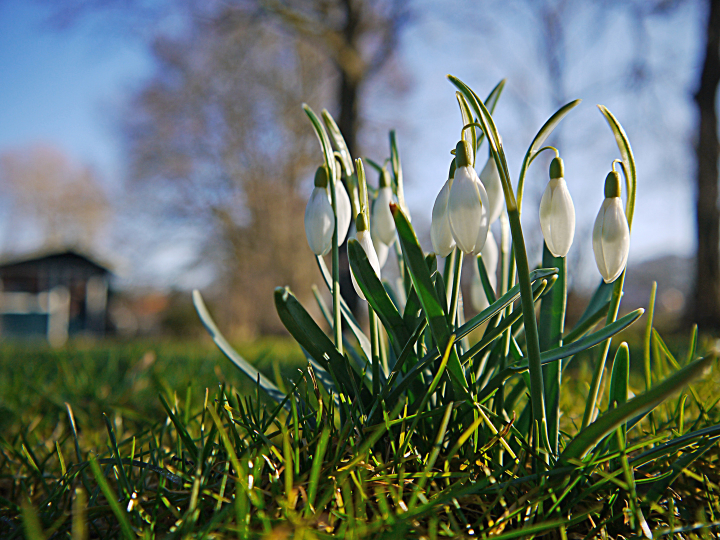 Der Frühling klopft an!