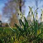 Der Frühling klopft an!