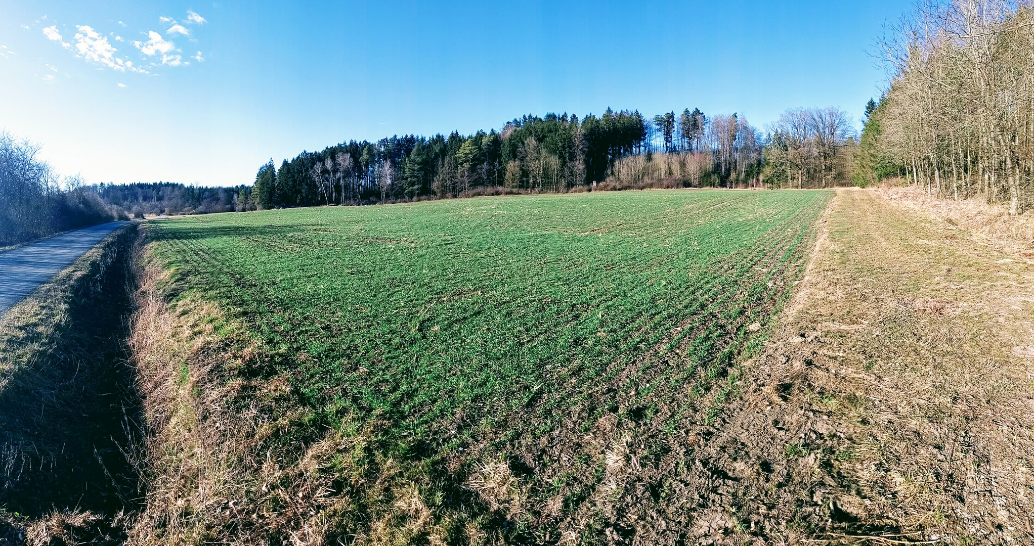 Der Frühling klopft an