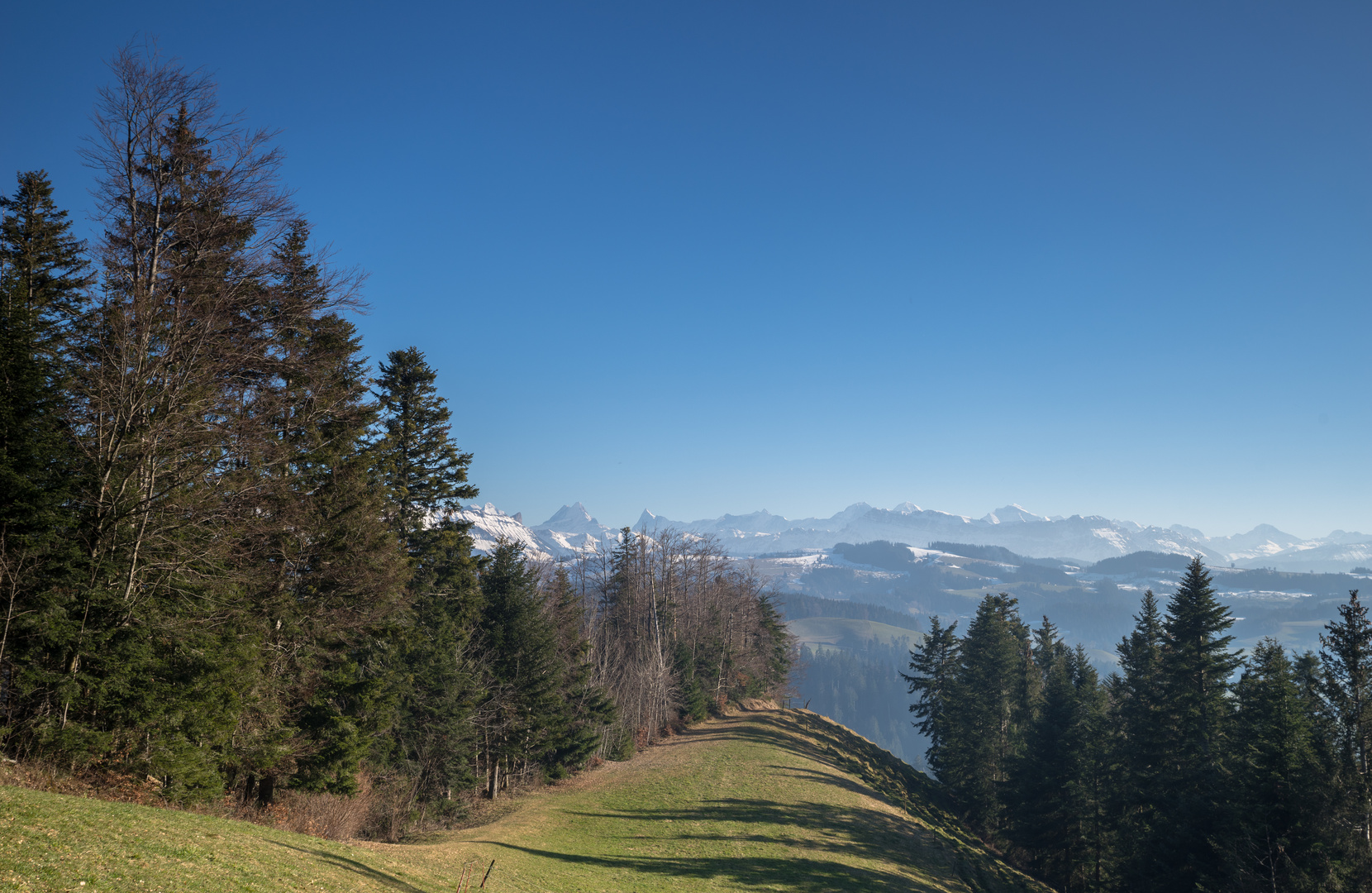 Der Frühling klopft an die Türe