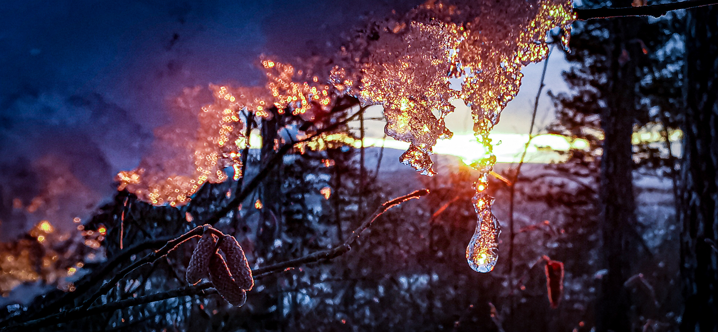 der Frühling kommt