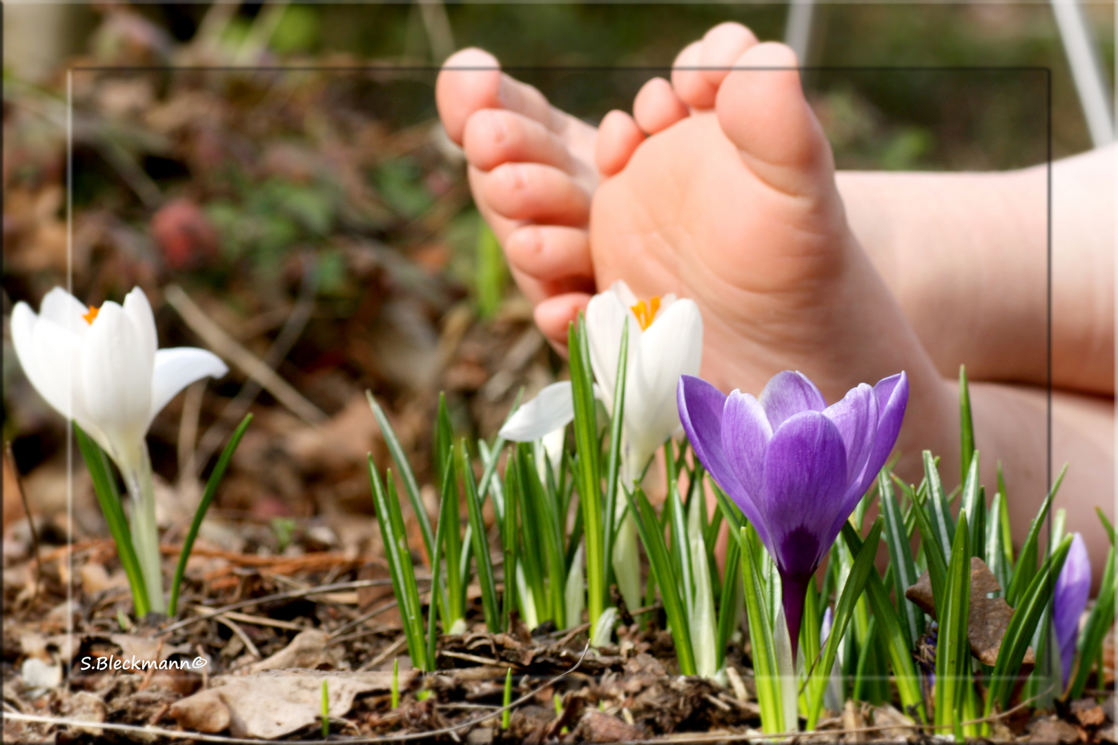 Der Frühling kommt!