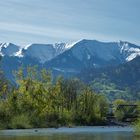 Der Frühling kommt