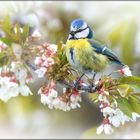 Der Frühling kommt!