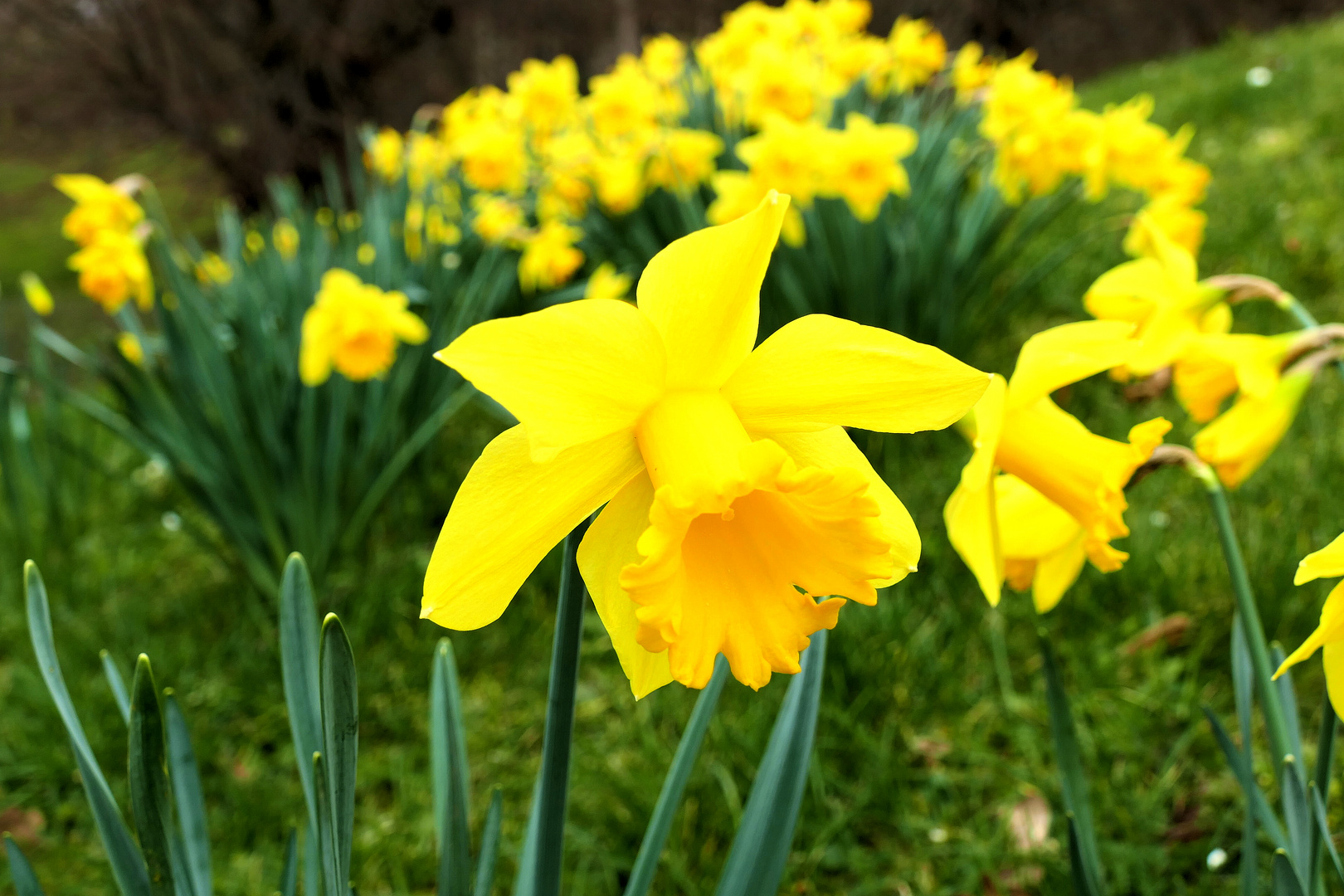 Der Frühling kommt....!