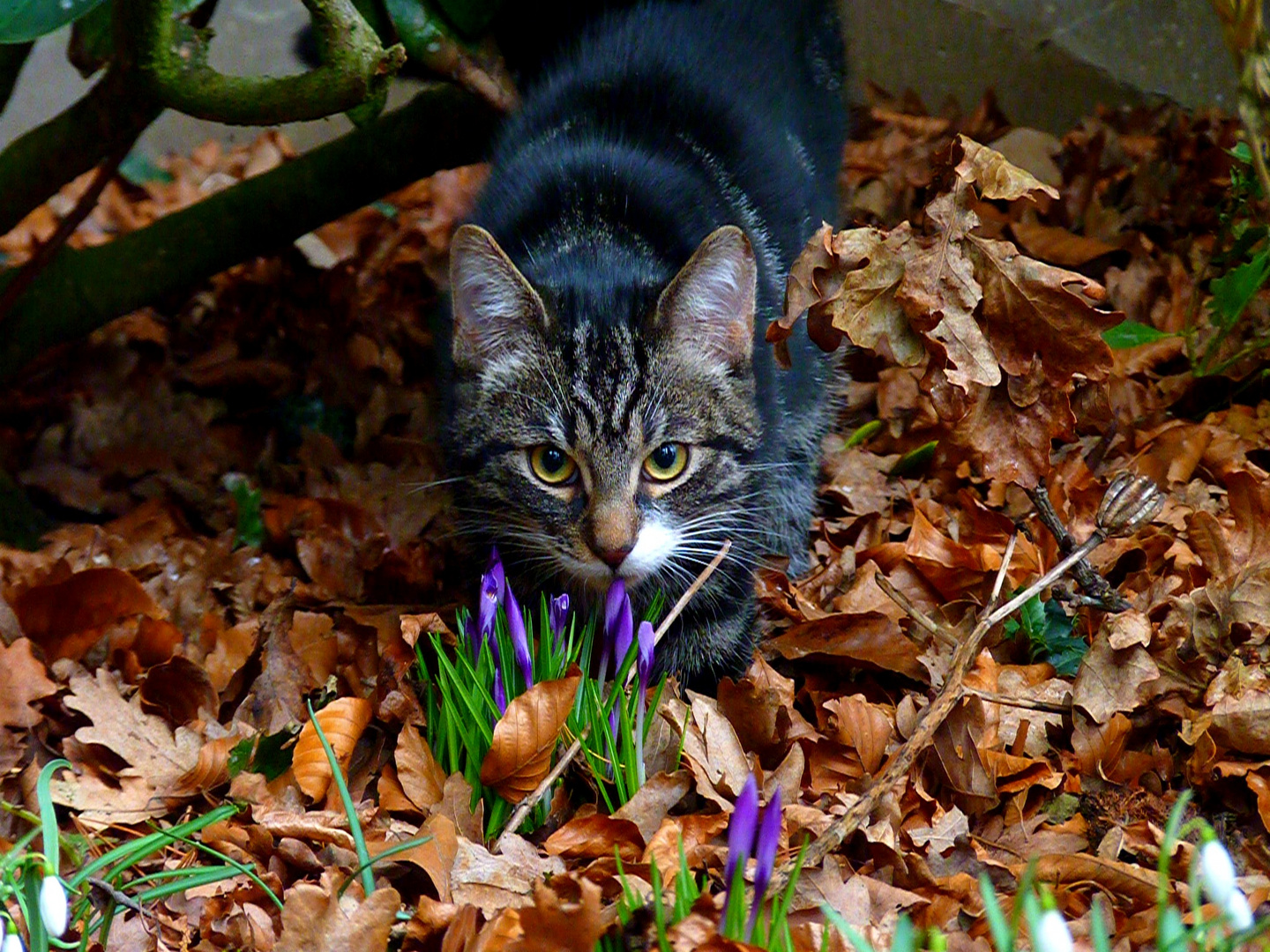 Der Frühling kommt :)