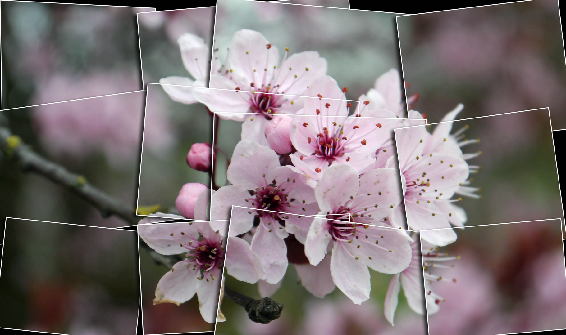 Der Frühling kommt....