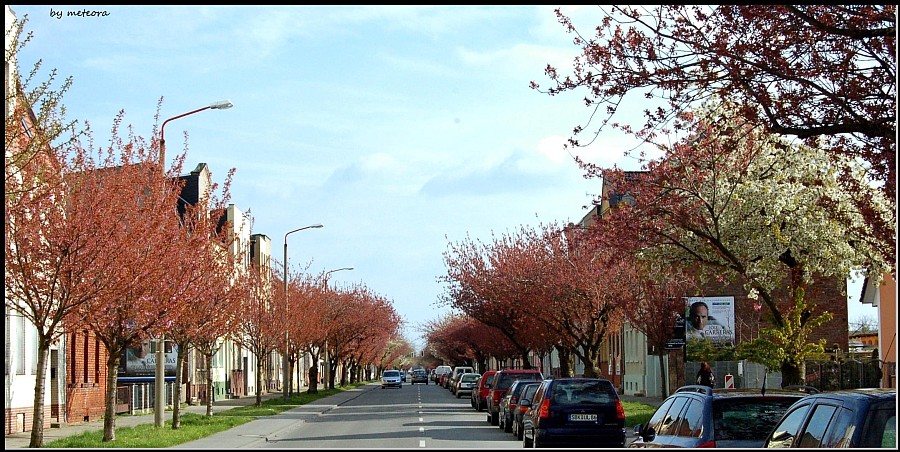 Der Frühling kommt...