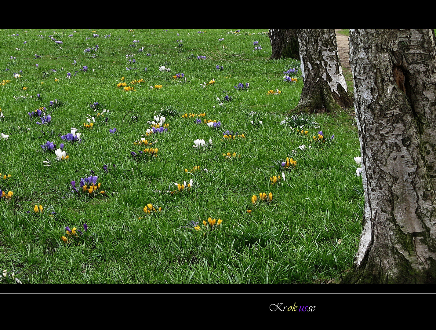 Der Frühling kommt...