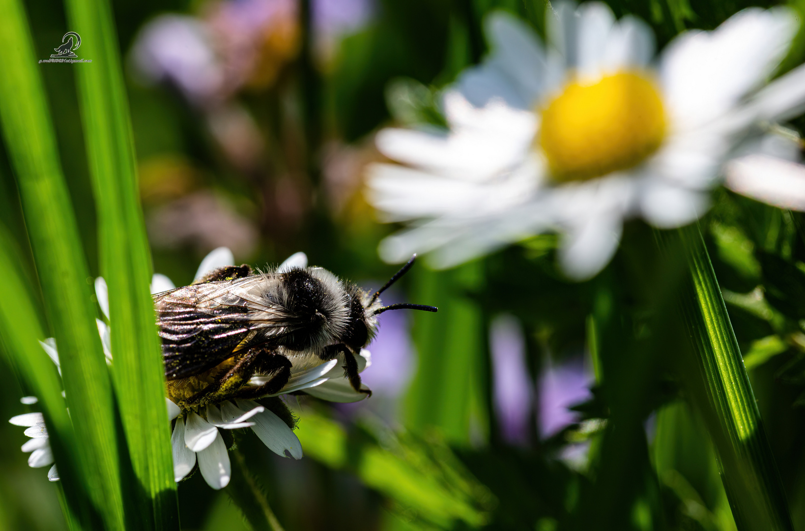 Der Frühling kommt