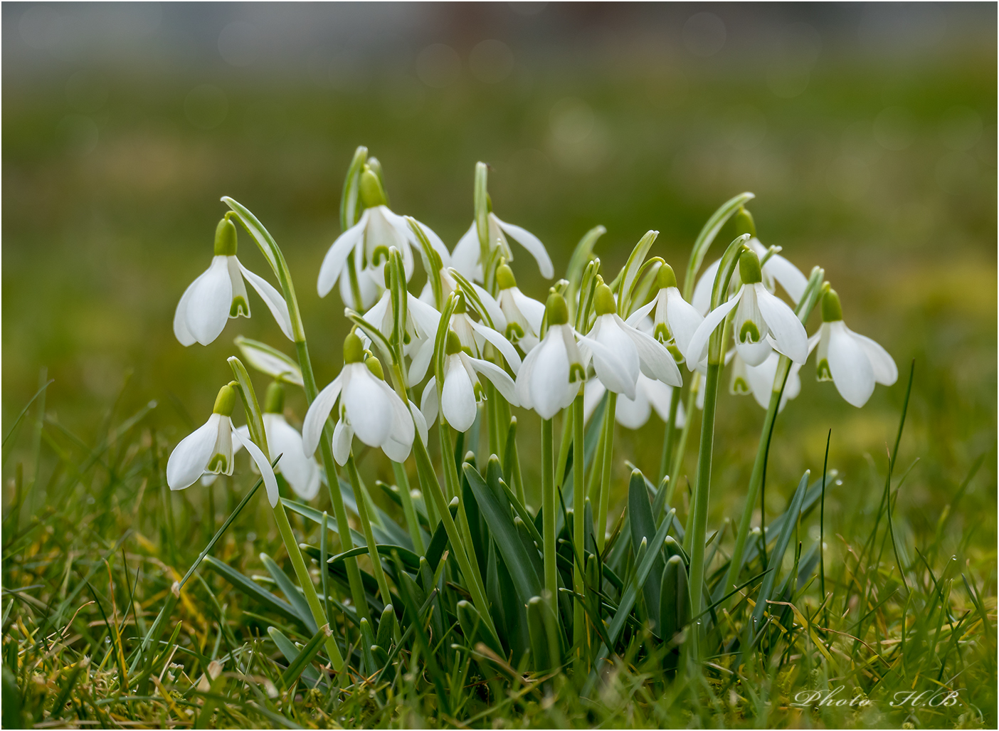 Der Frühling kommt !!!