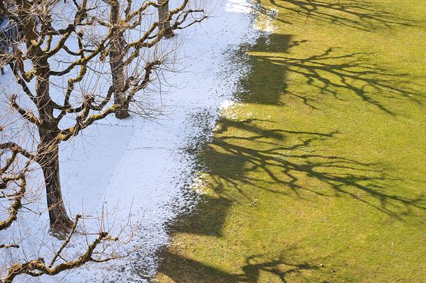 Der Frühling kommt :-)