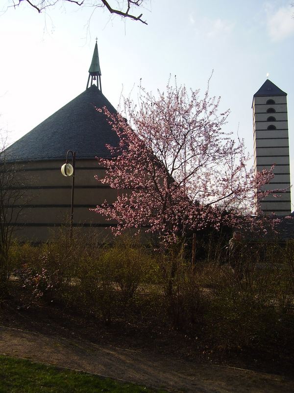 Der Frühling kommt!