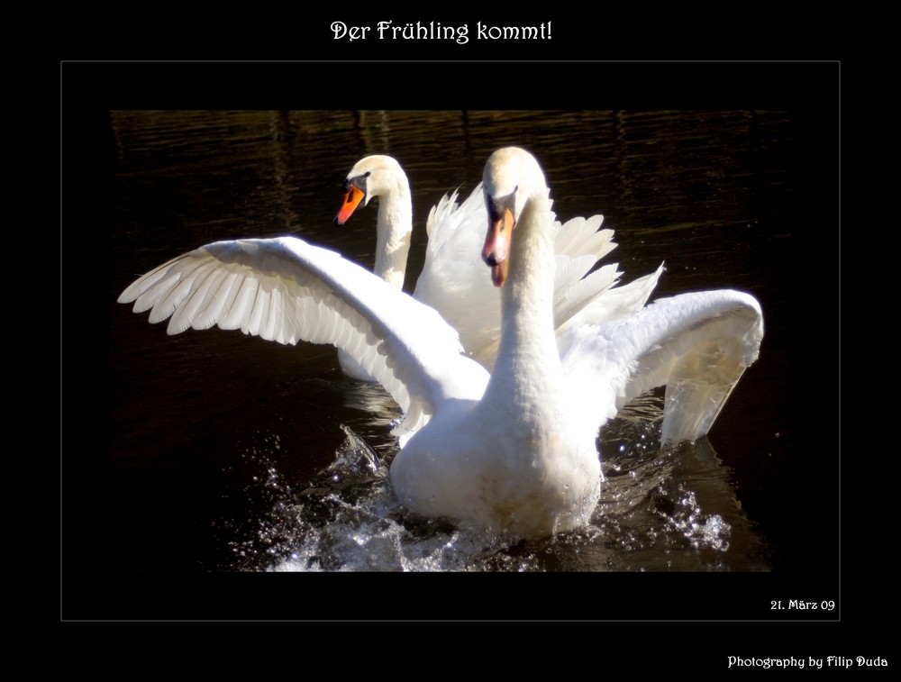 Der Frühling kommt!