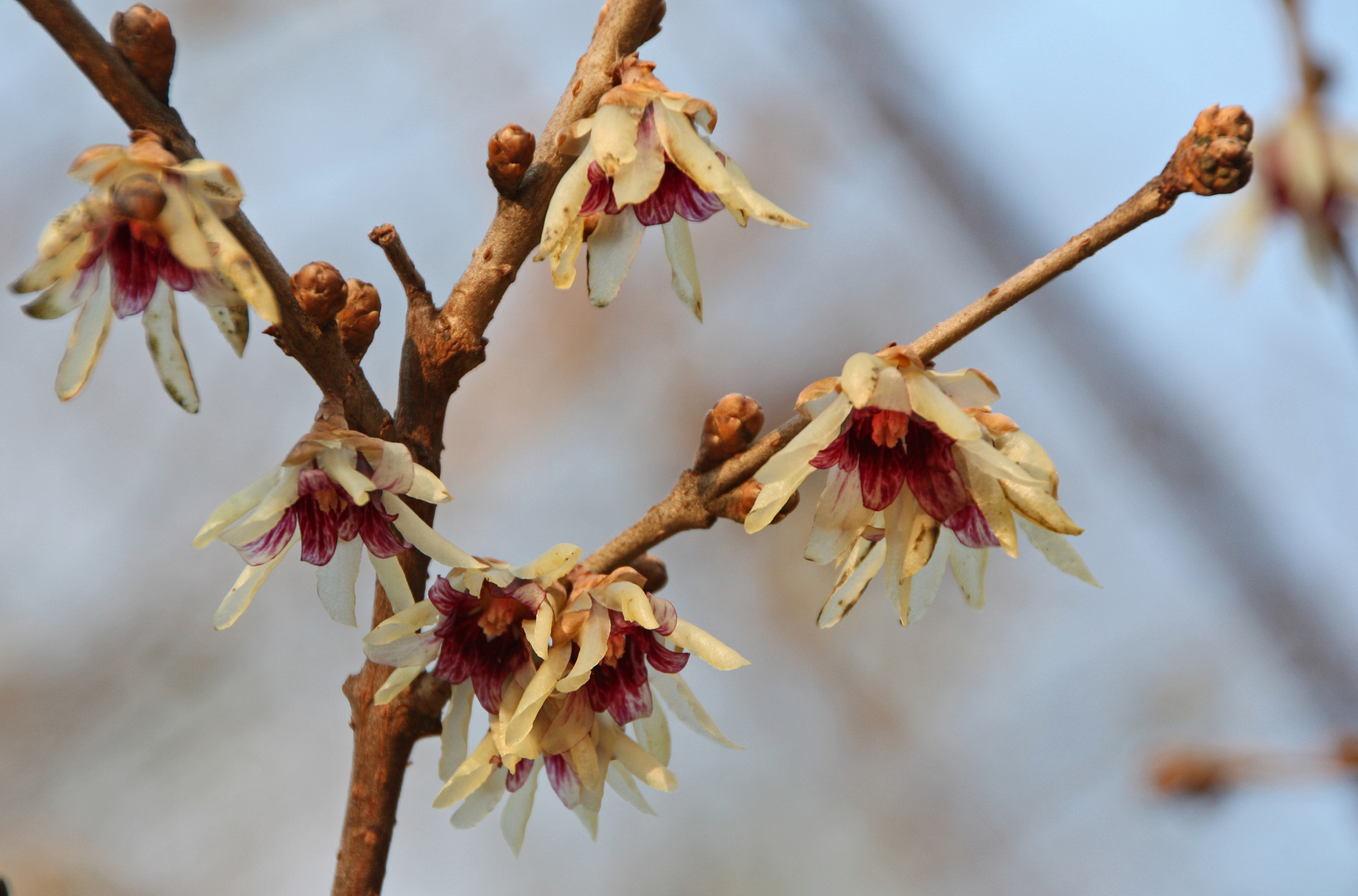 Der Frühling kommt!