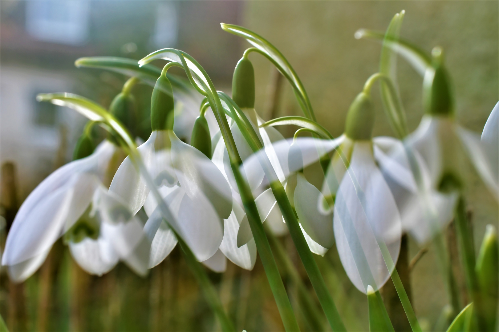 Der Frühling kommt